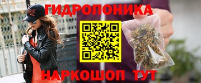 ешки Моздок