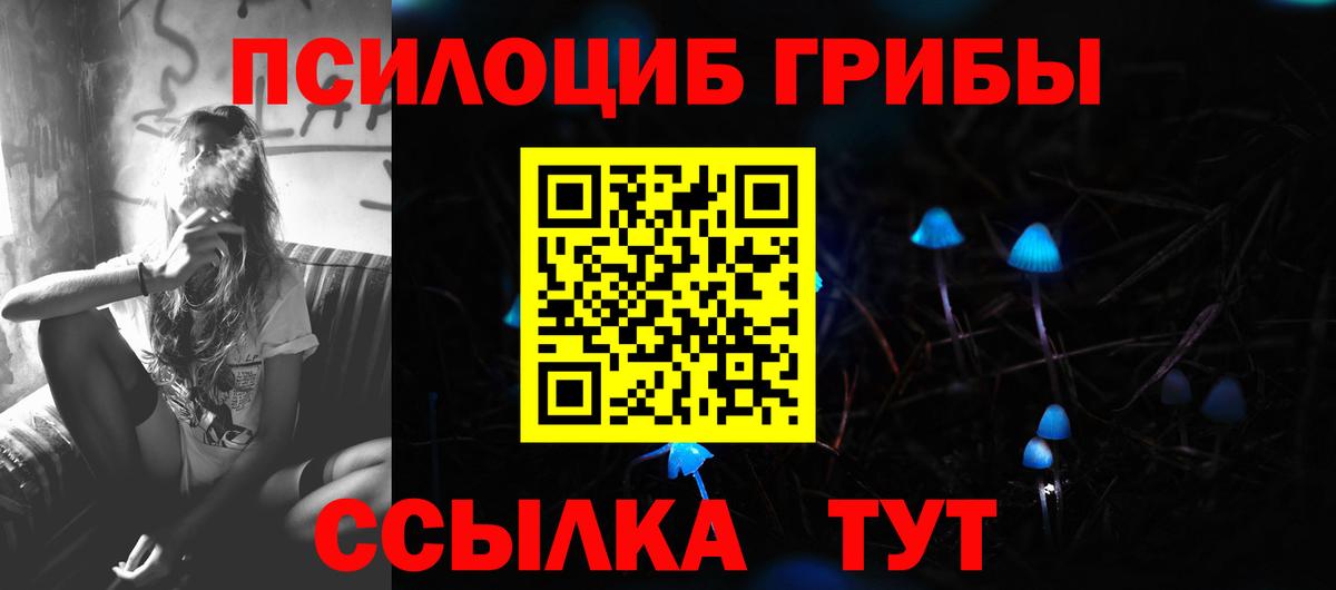 купить закладку  Галлюциногенные грибы Psilocybine cubensis  Галлюциногенные грибы прущие грибы  Вход с VPN  Серов 